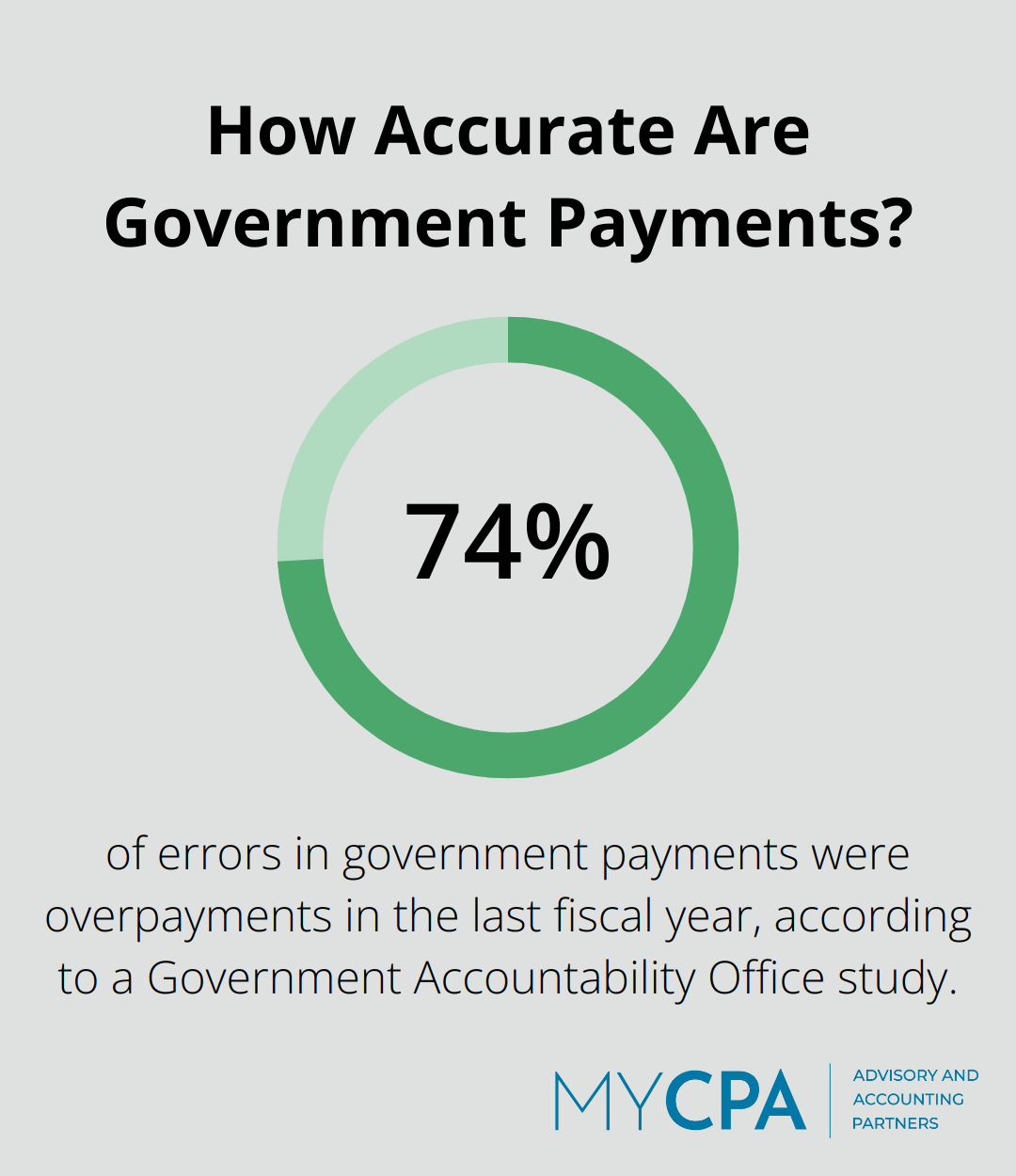 How Accurate Are Government Payments?