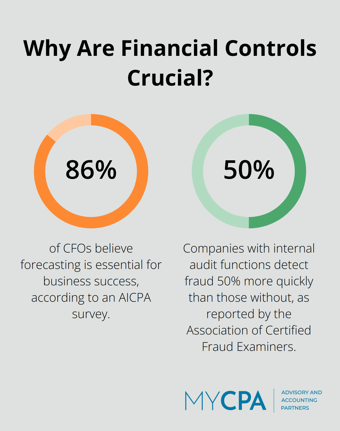 Infographic: Why Are Financial Controls Crucial?