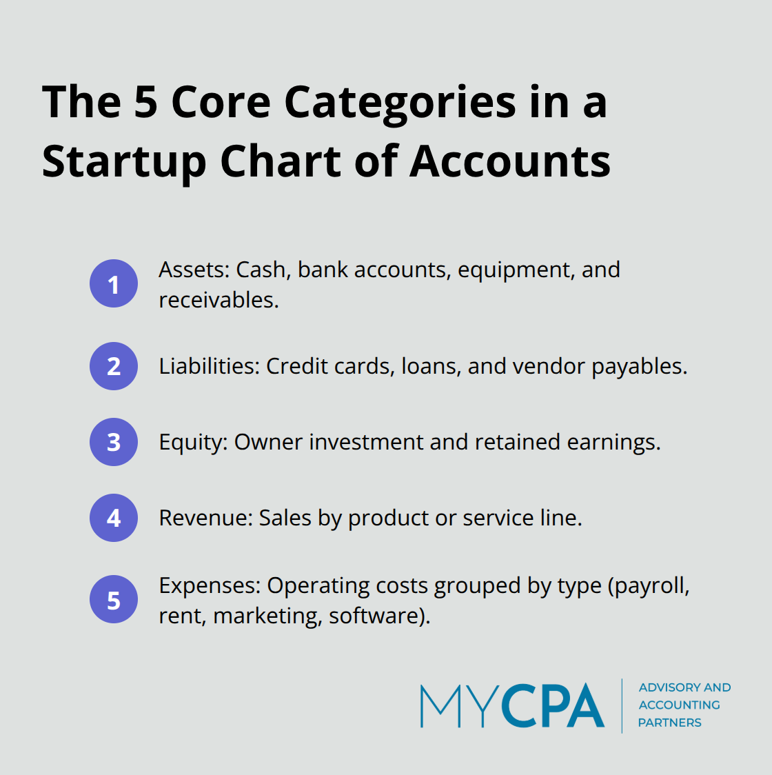 Compact list of the five chart of accounts categories with examples for U.S. startups - startup bookkeeping basics